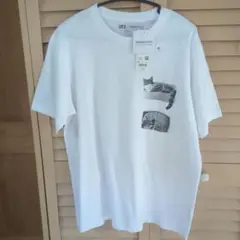 MAGNUM PHOTOS 猫プリント Tシャツ XL　　猫　完売品
