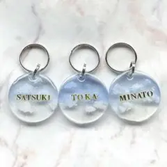 Item thumbnail for item 2eede5a1-ab9b-408e-96cd-3e6df4797204
