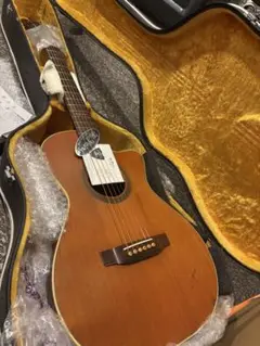 Item thumbnail for item 8b051908-6e74-455b-9cbd-9ffaedc91735