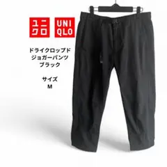 Item thumbnail for item 16a10529-5f54-4d5e-a2d0-e88f8056fbe0