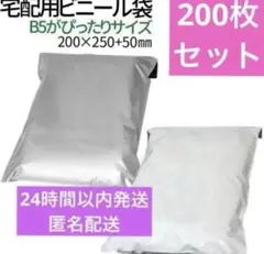 Item thumbnail for item 991bb3a6-df50-4b85-9547-43f367c00ff0