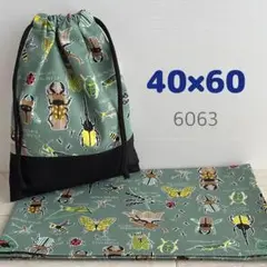 給食セット★昆虫図鑑・グリーン★40×60小学校ランチョンマット＆給食袋