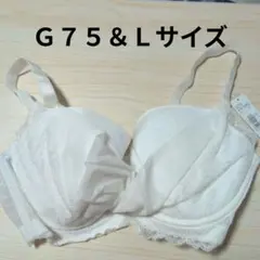 ③白のG75＆Lサイズ