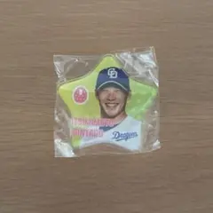 中日ドラゴンズ 辻本倫太郎 若竜アクリルバッジ