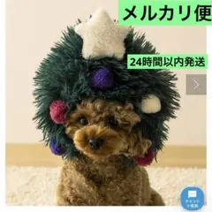 Item thumbnail for item b5f5c42b-fcbd-493e-8471-5725cf6935b9