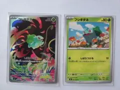 【美品】フシギダネAR、Cセット