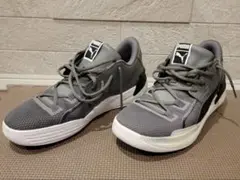 Item thumbnail for item 53816795-da76-4059-824c-3e87e51d6e3a