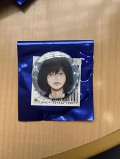 FGOフェス 2025 缶バッジ オベロン ②