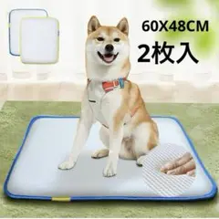 Item thumbnail for item 85182ef2-b853-488f-b4cf-28c24e44bdf7