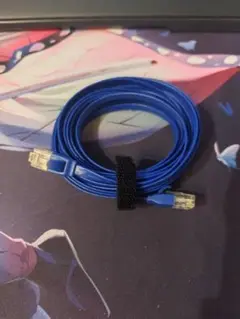 ELECOM　LANケーブル 10GBASE-T　5m　フラットタイプ
