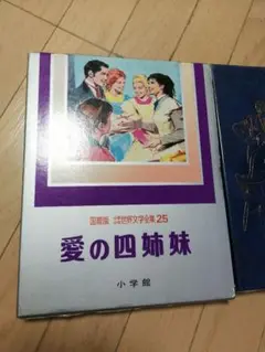 国際版　少年少女世界文学全集　全巻25巻 国際版 少年少女世界文学全集 全巻25巻