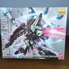 2025年最新】MG プロヴィデンスガンダム プレミアムエディション