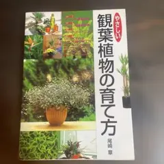 やさしい観葉植物の育て方