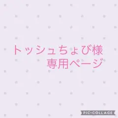 トッシュちょび様 リクエスト 2点 まとめ商品