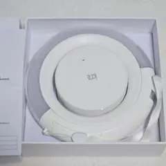 【値下げ】ITZY 初代 ライトリング
