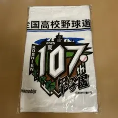甲子園107回大会タオル