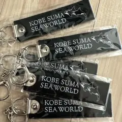 １つの値段です。神戸須磨シーワールド　入場特典　フライングタグ