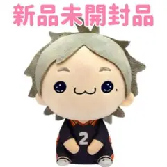 新品未開封品⭐︎菅原孝支 もちぴこ ぬいぐるみ5 ハイキュー!!