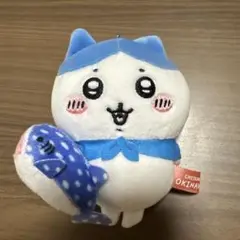 沖縄限定　ハチワレ　ジンベイザメ