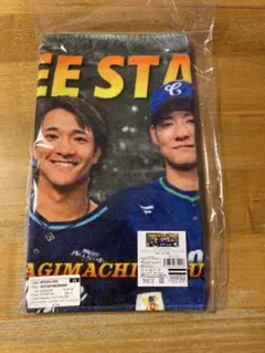 ソフトバンクホークス 周東 柳町 上林 中日ドラゴンズ