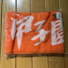 阪神甲子園球場 カラーマフラータオル (オレンジ)
