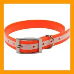 Item thumbnail for item ed8ac549-cad5-47be-a0b1-52c00e49b1bd
