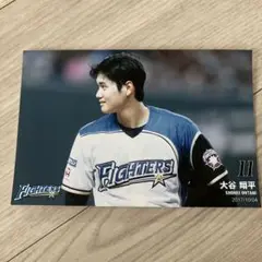 大谷翔平 記念写真 FIGHTERS 11