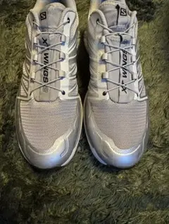 SALOMON XT-WINGS シルバー29.0cm