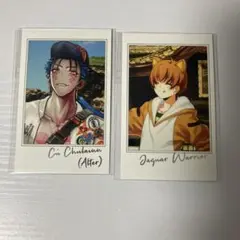 fgo ポートレイトコレクション fgoフェス 10周年 クーフーリンオルタ