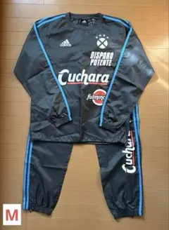 Item thumbnail for item adae2849-31ab-4012-9500-bcd2386d1a7e