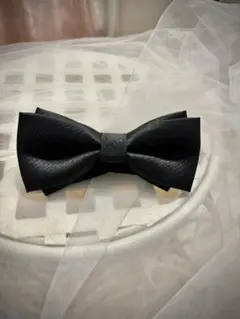 Item thumbnail for item 73b9c56a-c20c-443c-aa04-0ecb141dd86a