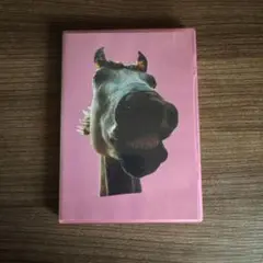 THE HIGH-LOWS The★MUSTANG 04+05 DVD