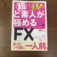 超ど素人が極めるFX