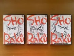 湘南爆走族コンプリートDVD全3巻セット