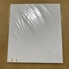 Item thumbnail for item 4184001e-4cb6-4657-af5d-10b301aa7c25
