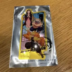 我妻善逸　禰豆子　伊之助　鬼滅の刃 無限城編 第一章 入場者特典　クリアカード