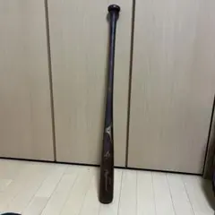 ミズノプロフェッショナルM18型 84cm