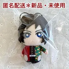 匿名配送　新品・未使用＊鬼滅の刃 ちみっともぬい vol.2 冨岡義勇