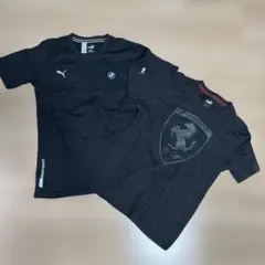 PUMA コラボ