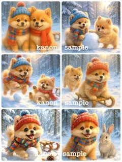 P264 パネル生地　ポメラニアン　雪遊び　　18×18 6枚1セット