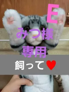 たち猫ZOOぬいぐるみ