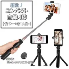 Item thumbnail for item cb4aa1b2-f75c-4861-a5fd-4e22351ebc47