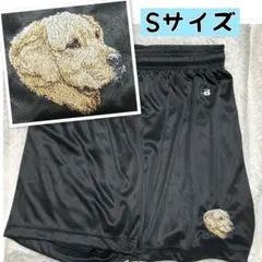 S/Badger Sports×grayショートパンツ ゴールデンレトリバー