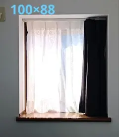 レースカーテン 白 1枚 100×88