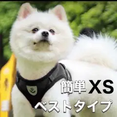 Item thumbnail for item 2955e42a-3b7d-4588-b2b6-6f46e8b0a559
