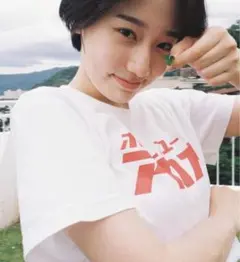 ▲ホテルニューアカオ 限定 Tシャツ 人気 Lサイズ