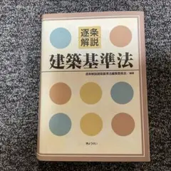 裁断済　逐条解説建築基準法改訂版 316eUPj3svL.jpg_BO30,255,255,