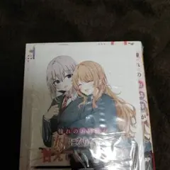 未開封特典付き　憧れのお姉様が「妹になりたい」って甘えてくるんだけど!?①