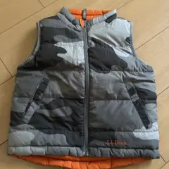 Item thumbnail for item 825a31c3-6605-4408-bcb1-7dc03a135707