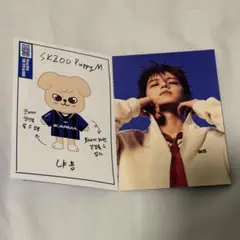 273. Straykids スンミン プロフィールカード